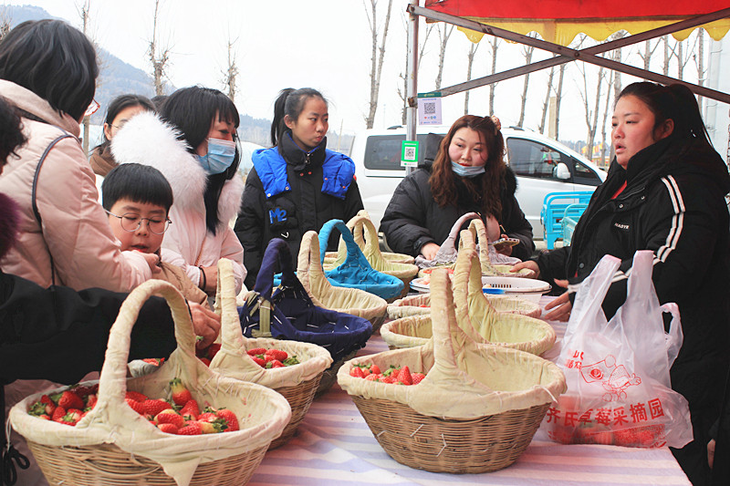 ��ݮ�h��c�´� | ���f�(zh��n)��ɽ�ڲ�ݮ��ժ��Ȥ���������w�e����ζ