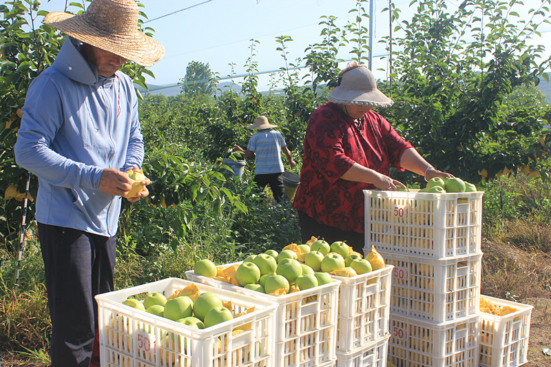 ��ó������Ѕ^(q��)ǰ�����@�����@������������