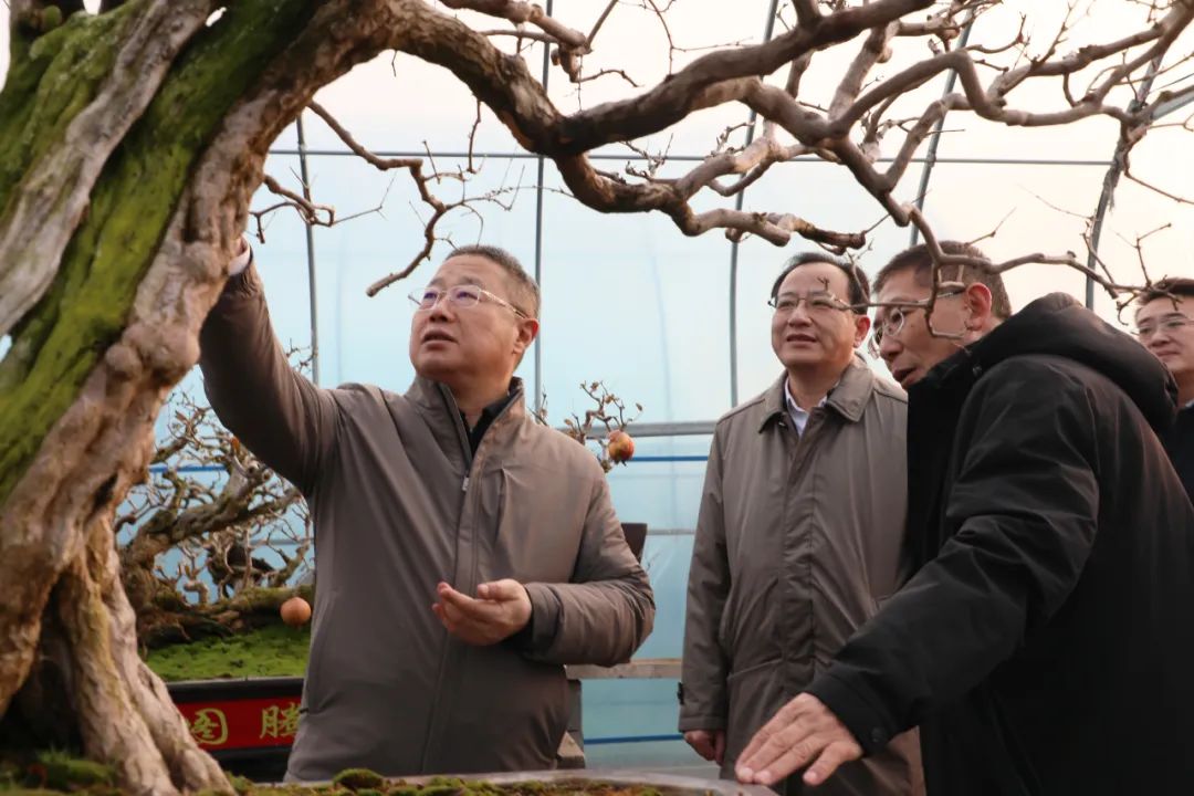 ���f��ί����(sh��)ӛ������ί��(sh��)ӛ����(gu��)�ށ�(l��i)�F�ǅ^(q��)�{(di��o)��ʯ��a(ch��n)�I(y��)�l(f��)չ����